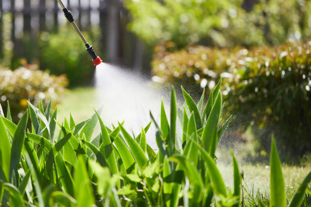 24/7 Emergency Mosquito Control experts in Gap, PA
